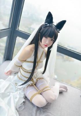 免费看黄色片